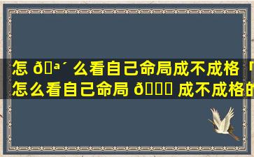 怎 🪴 么看自己命局成不成格「怎么看自己命局 🐞 成不成格的人」